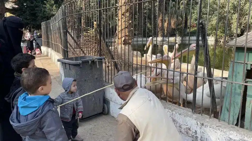 Plan to renovate Egypt’s zoo prompts concerns over animal care