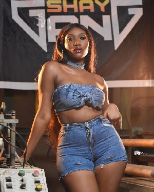 I’m ‘number one’ in spite of vehement criticism – Wendy Shay to fans