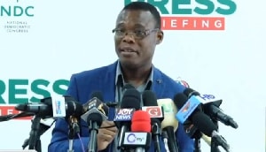 NDC addresses press on fresh injunction against primaries