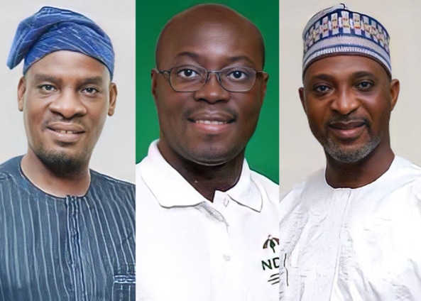 Parliament yet to effect change in Minority leadership on website