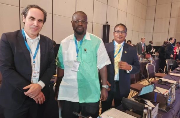 Annoh-Dompreh calls for Africa-European Union at Renewable Energy Conference