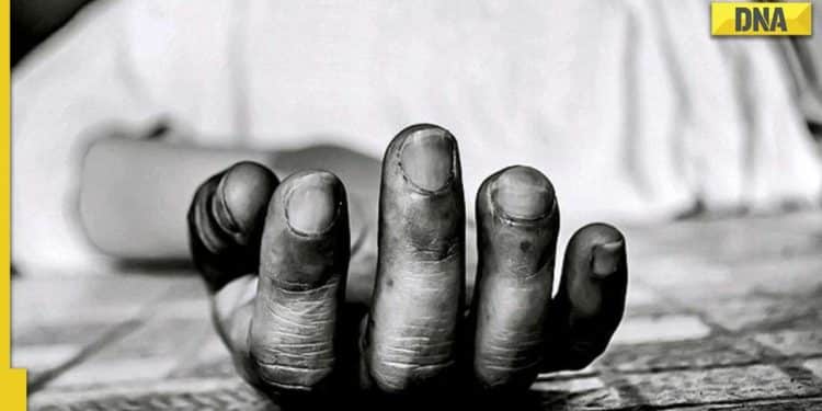 Wa: Students uncover body in shallow grave near school park