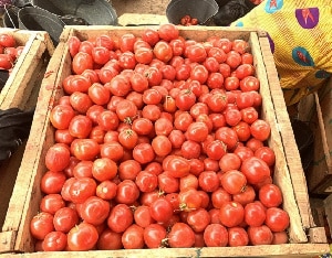 GSA addresses the issues with tomatoes and clothing -border traders