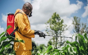 Agric CSOs want tax exemptions on imported inputs
