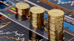Your financial situation and the debt exchange program