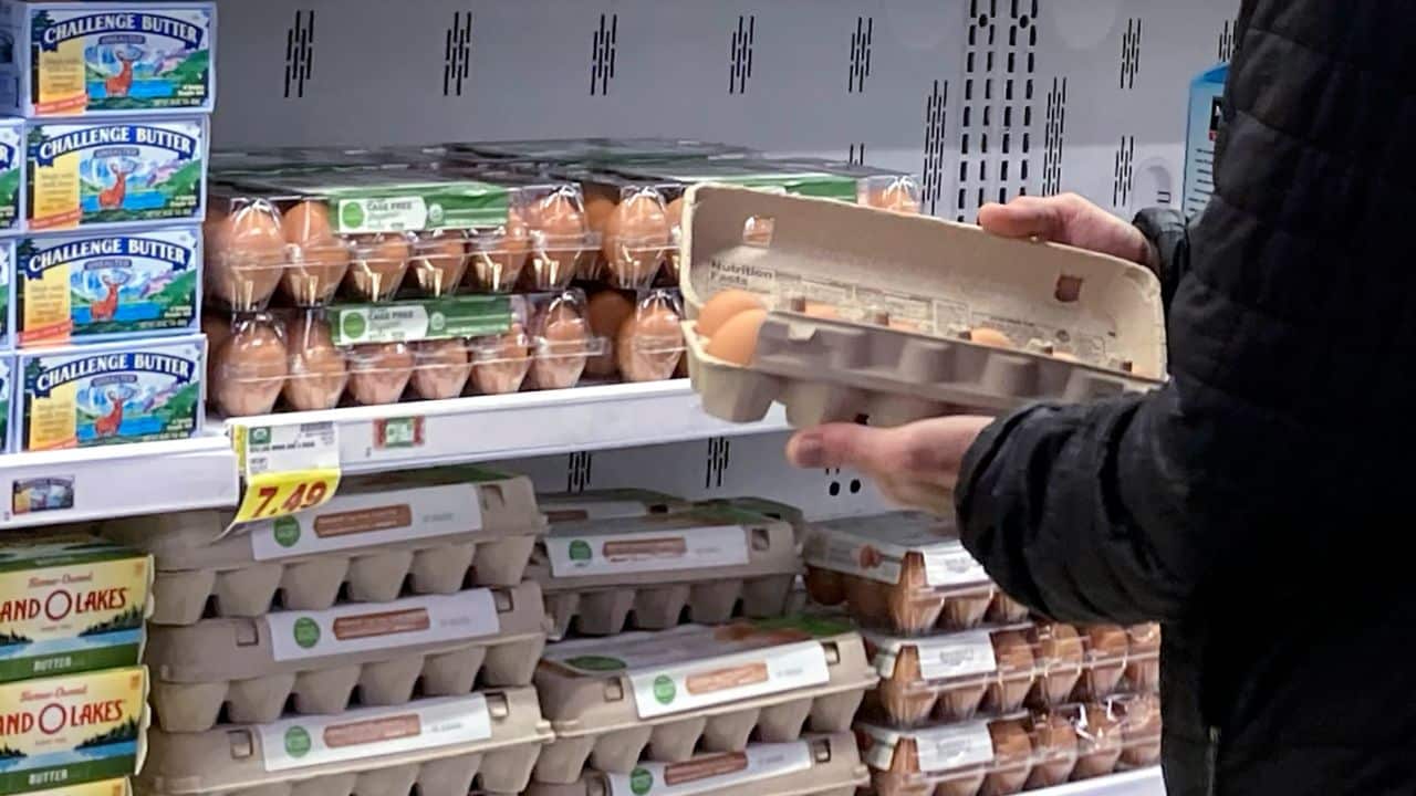 Egg prices exploded 60% higher last year