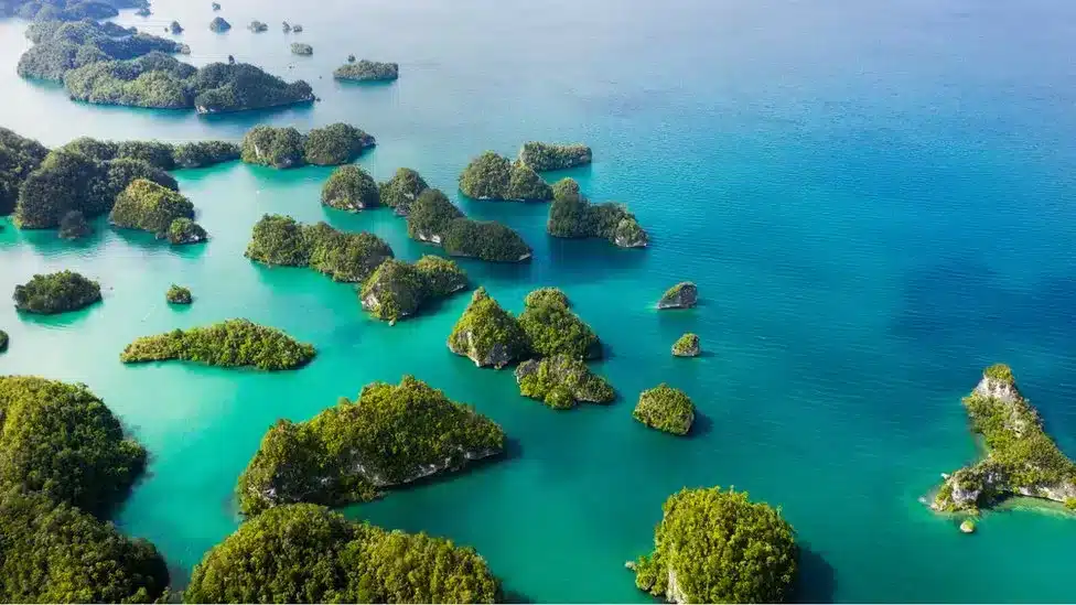 Could floating solar farms survive out at sea?