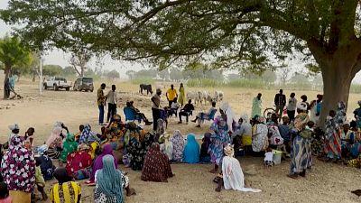 Unemployment, main cause of violent extremism in sub-Saharan Africa – UNDP