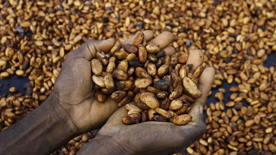 Ivory Coast in fear as beans shortage hit hard