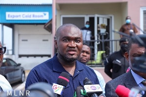 Gold-for-oil policy is viable – PMMC head