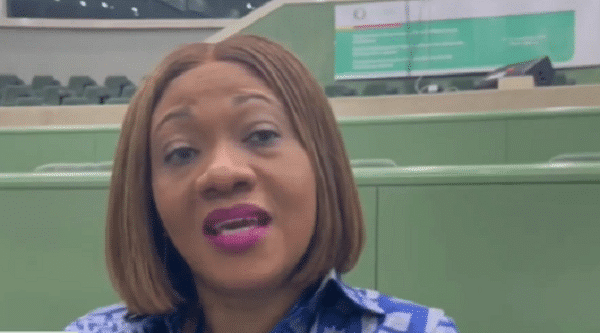 Don’t pay attention to Franklin Cudjoe’s false claims on SALL disenfranchisement – EC