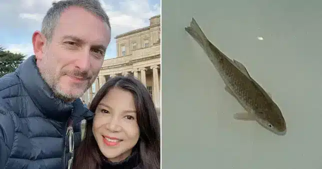 A woman discovers her purchased fish is still alive after two days in the freezer