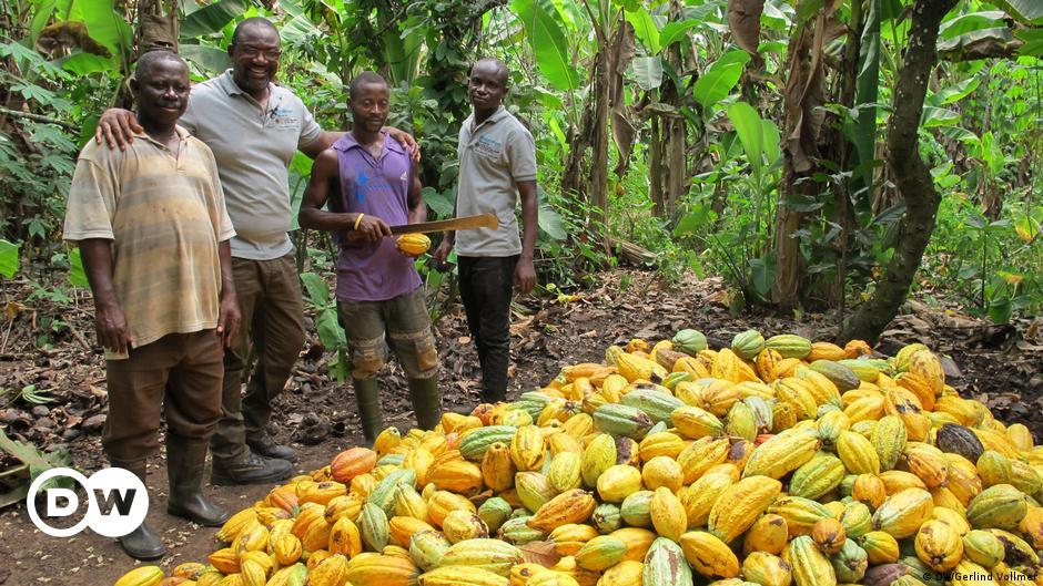 Cocoa farmers to receive 27k sprayers and 89k PPEs from COCOBOD