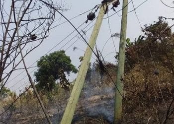 Assemblyman blames ECG for pole mounted in the middle of the road