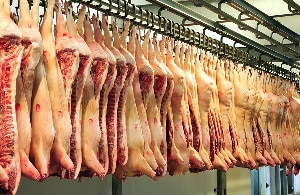 Poultry farmers lament impact of importing pork from the US on their business