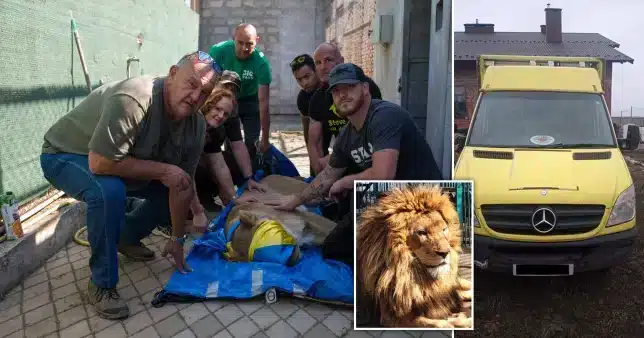 The rescuer returns to Ukraine to protect the zoo animals from the Russians