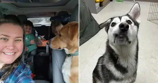 A family travels 2,600 miles to adopt a puppy with an unsteady smile