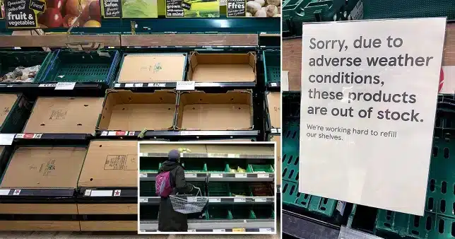 UK to face another one month fruits and vegetables shortages