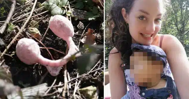 Police discover pink earmuffs as the search for Constance Marten’s missing child