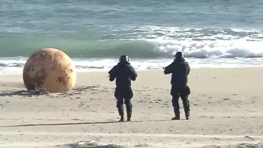 Strange object washes up on a Japanese beach