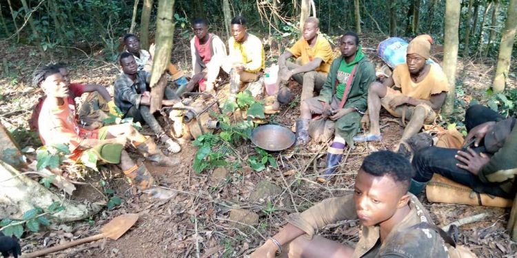 10 persons arrested for engaging in galamsey in Atewa Forest Reserve
