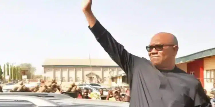 Social media predicts Peter Obi’s win ahead of declaration