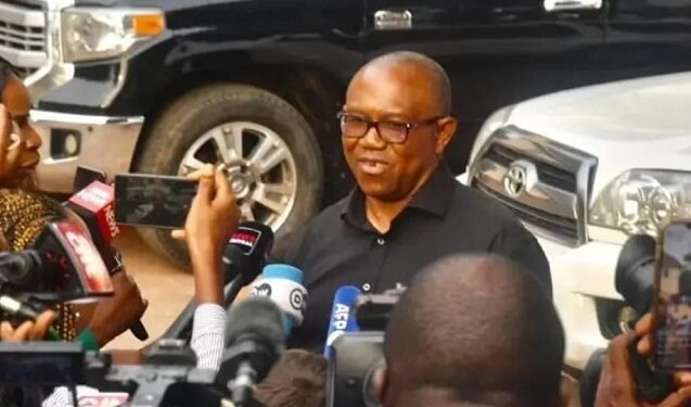 Nigeria election 2023: I’m not looking for a job in anyone’s cabinet – Peter Obi