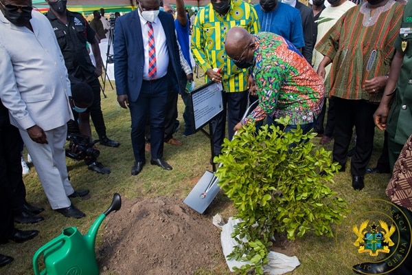 Green Ghana Initiative:10 million trees to be planted this year