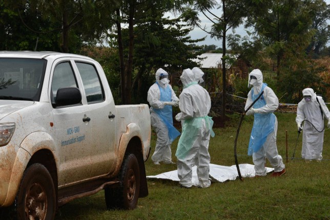 An Ebola-like deadly disease Marburg  spread out in Africa
