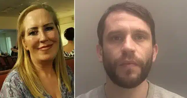 Man imprisoned after inadvertently stabbing his mother