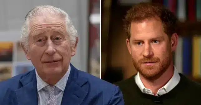 Harry received approval from Charles to use the names Archie and Lili