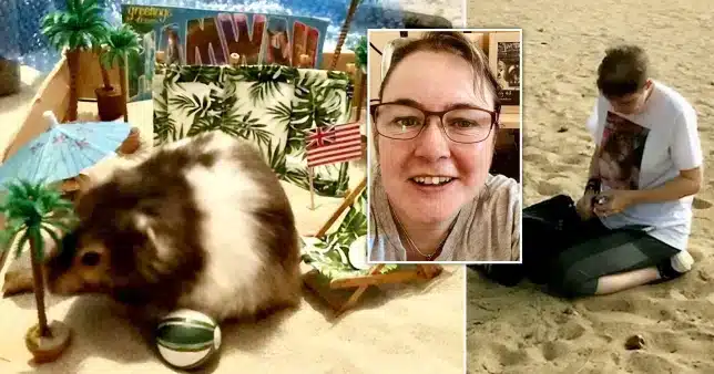A woman travels 7,000 kilometers for £3,500 to disperse a hamster’s ashes