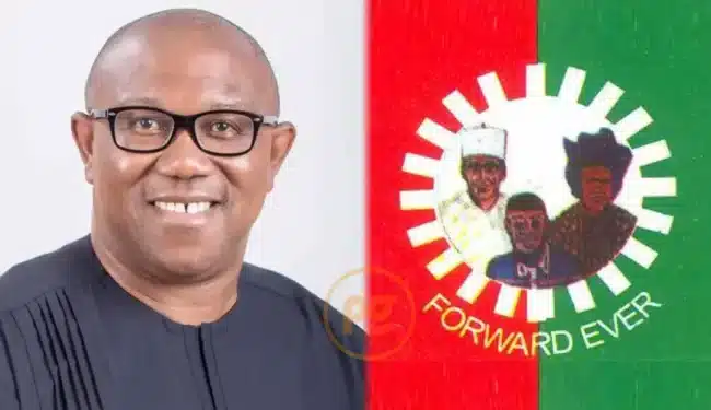 Peter Obi breaks silence after elections, promises to address Nigerians