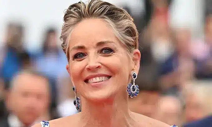 Basic instinct role cost me custody of my son – Sharon Stone