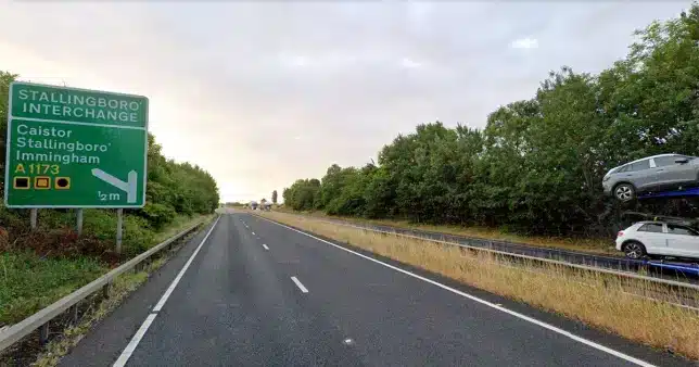 Girl, 34, and boy, 3, were killed after a lorry struck their damaged vehicle