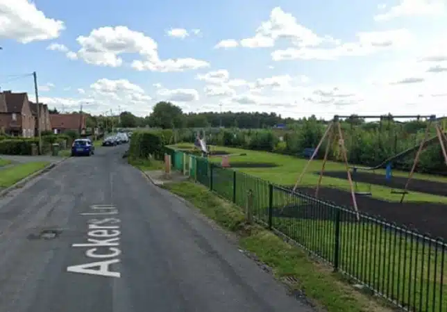 Three people are arrested after a girl assaulted by a pack of dogs