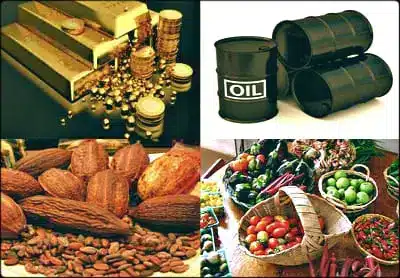 The economy would’ve performed far better, if not for covid – Kpemka