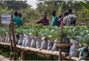USAID has announced a grant of $500,000 to help SMEs