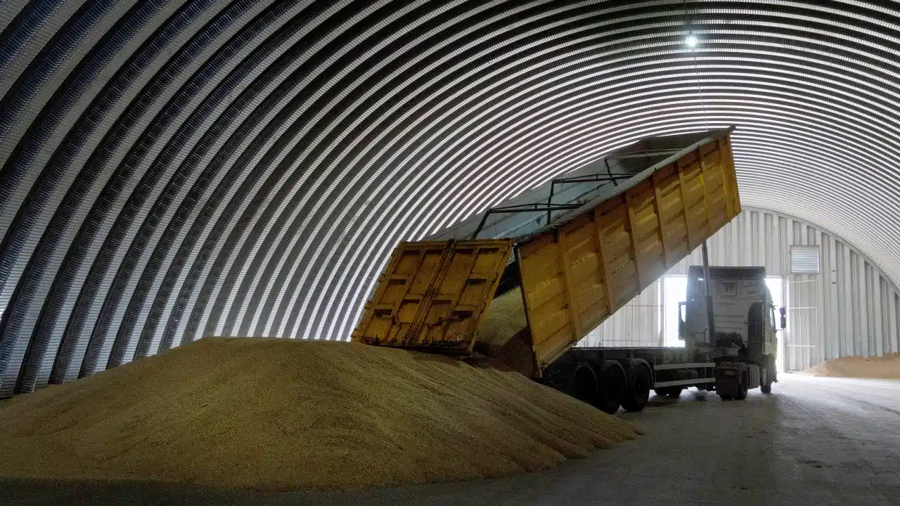 Ukrainian grain banned in Poland and Hungary due to local surplus