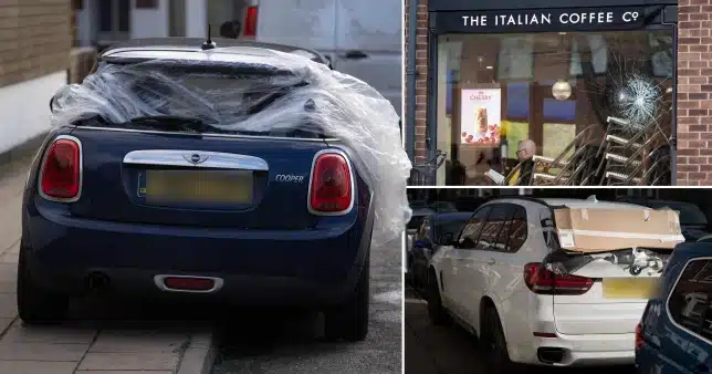 Man vandalizes a police car, 17 vehicles, and a store window