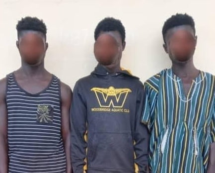 Notorious gang arrested for attacking police