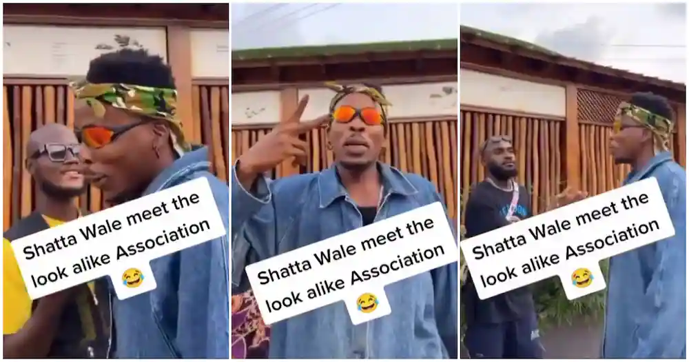 Celebrity lookalikes organise a meeting