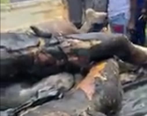 Angry mob sets ablaze 3 suspected armed robbers at Moseaso