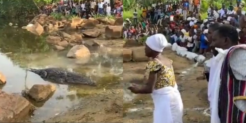 Video of woman begging crocodile to fetch water from stream causes stir on social media