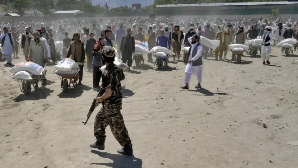 UN in need of $800m to ward off ‘catastrophic hunger’ in Afghanistan