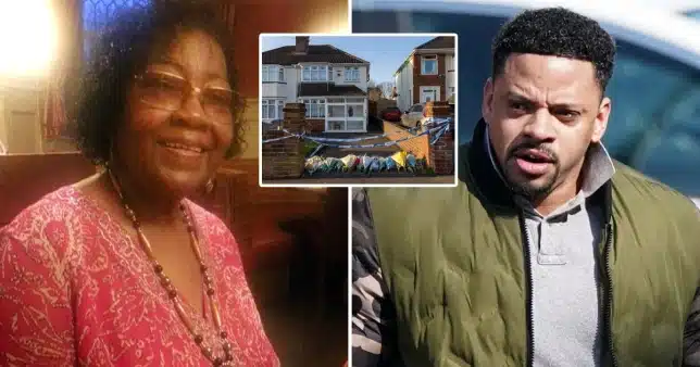 Dog owner acknowledges having two American bulldogs under his care when they murdered an elderly