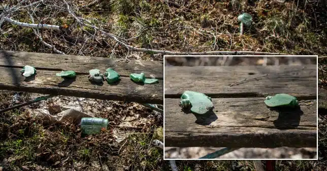 Russians allegedly employing outlawed “butterfly mines” to kill and injure Ukrainians