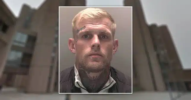 Man jailed 10 months for striking his partner with a shovel