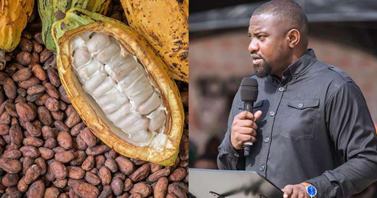 Stop galamsey now to protect Ghana’s cocoa industry – John Dumelo