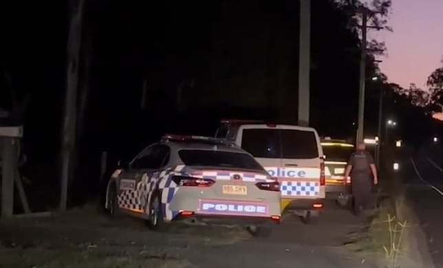 Three dogs mauled a toddler, leaving him severe injuries to his face and neck